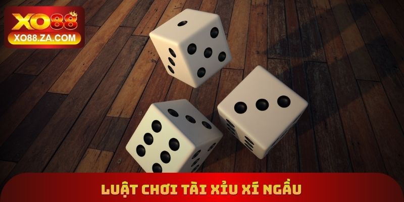 Luật chơi tài xỉu xí ngầu