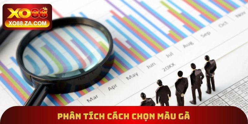 Phân tích cách chọn màu gà